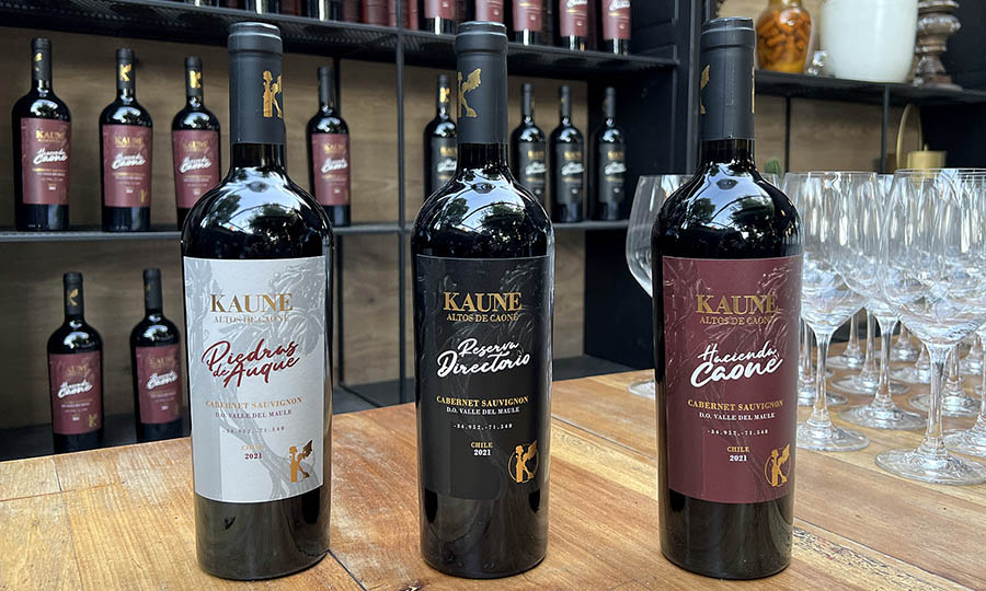 Los vinos de Cabernet Sauvignon de Kaune