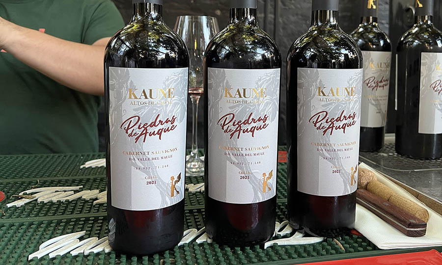 Cabernet Piedras de Auque Sauvignon de Kaune