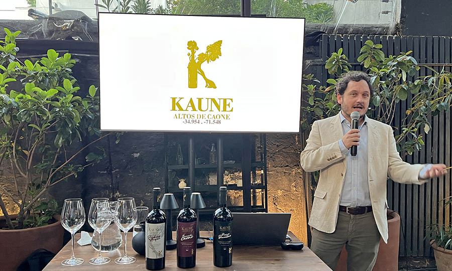 Presentacin de los vinos de Kaune