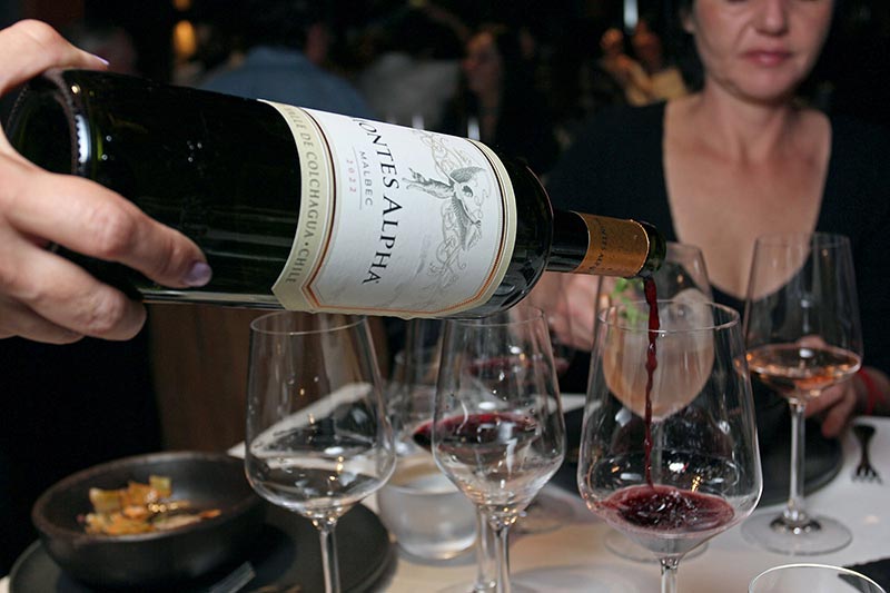 Vino Malbec Montes Alfa