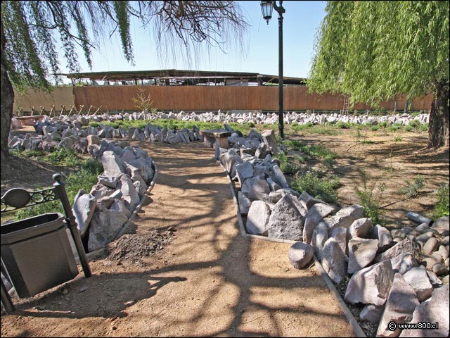 Sendero de piedra en el jardn - Entre Ros (Rengo)