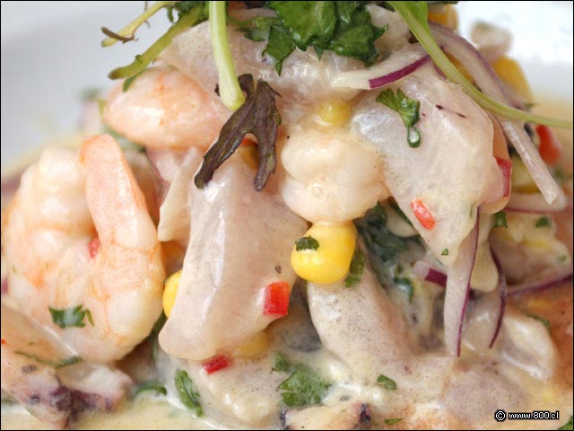 Dados de pescado en Ceviche del Da - Mulato Restaurant