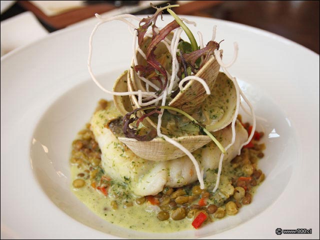 Merluza Austral sobre Lentejas - Mulato Restaurant