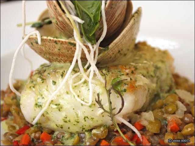 Filete de Merluza Austral sobre Lentejas - Mulato Restaurant