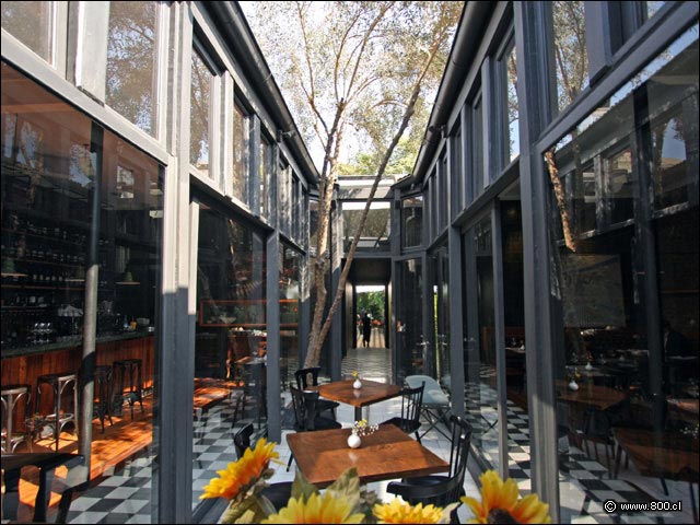Fotos del restaurante y bar Casa Luz en Barrio Italia - Casaluz