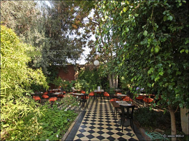Agradable y verde terraza en patio interior de Casaluz - Casaluz
