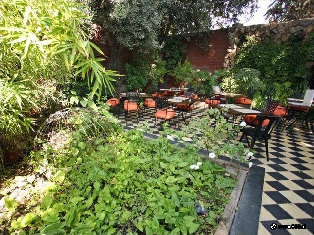 Agradable y verde terraza en patio interior de Casaluz - Casaluz