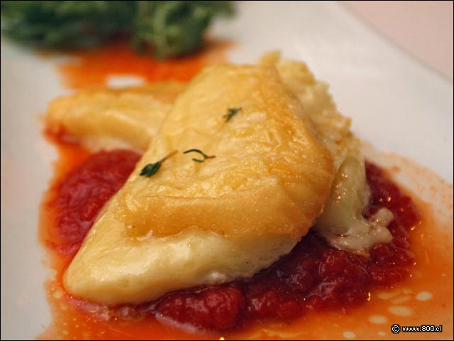 Detalle de Provoleta Grillada sobre Salsa de Tomate del Restaurante del Hotel Bonaparte - Bonaparte