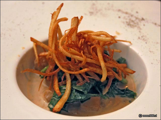 Ostiones del Restaurante del Hotel Bonaparte - Bonaparte