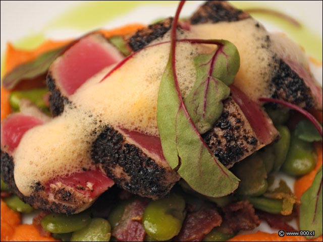 Primer plano de cortes de At��n Sellado - Bonaparte