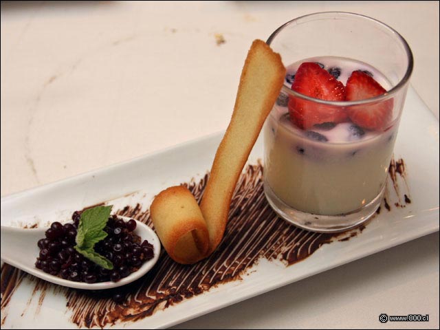 Panna Cotta de Berries - Bonaparte