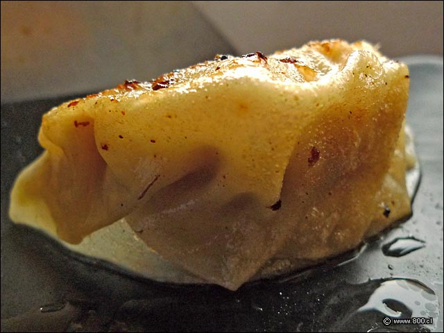 Detalle de Gyosas rellenas de cerdo del restaurant Sushi Matsu  - Sushi Matsu