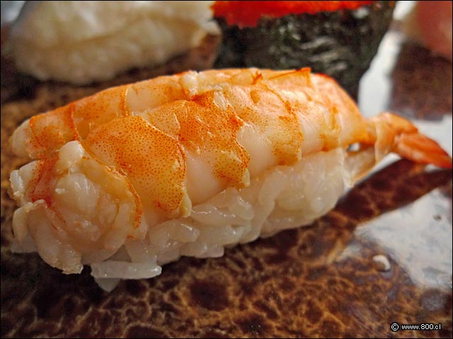 Niguiri de Camarn del restaurante Sushi Matsu - Sushi Matsu