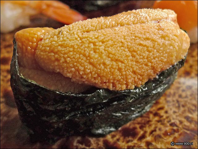 Niguiri de Erizo del restaurante Sushi Matsu - Sushi Matsu