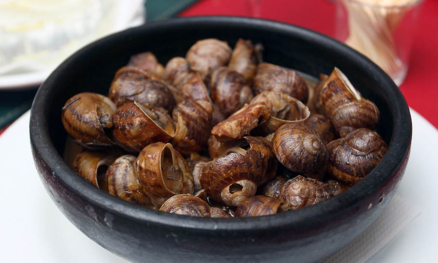 Caracoles a la española