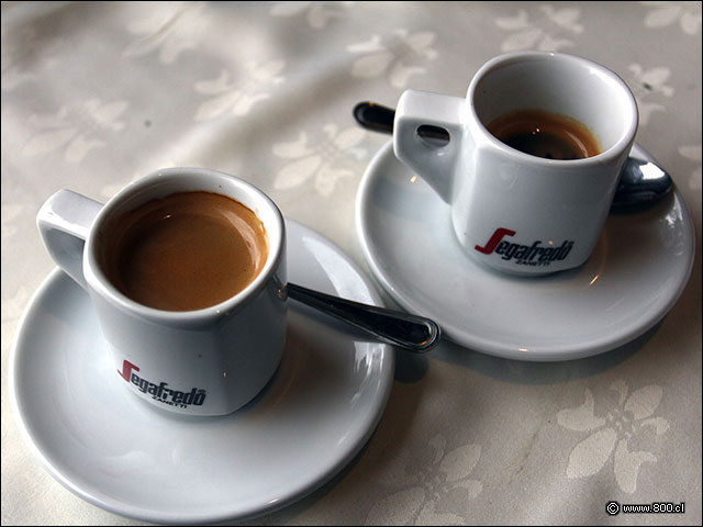 Caf espresso y ristretto Segafredo - Divertimento Chileno