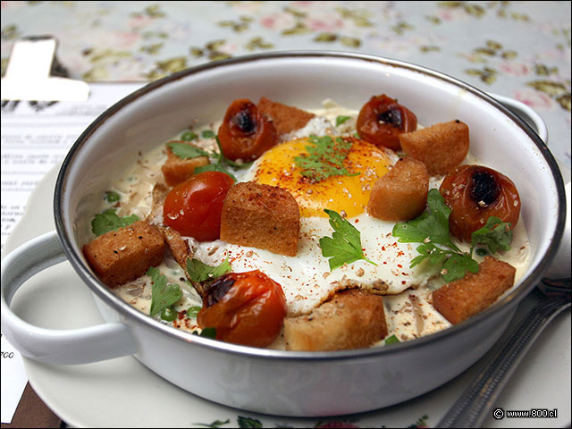 Huevo de campo con crutones, bechamel, tomate cherry uy cilantro  - Salvador Cocina y Caf