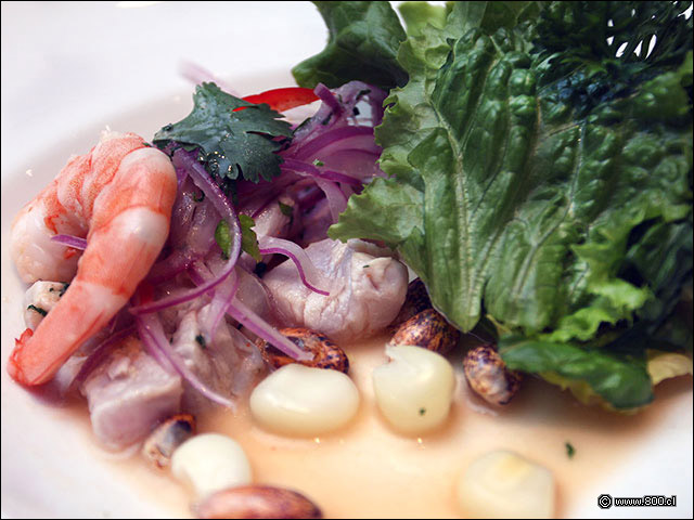 Cebiche de Dorado con camarones, calamares y pulpo - The Garden