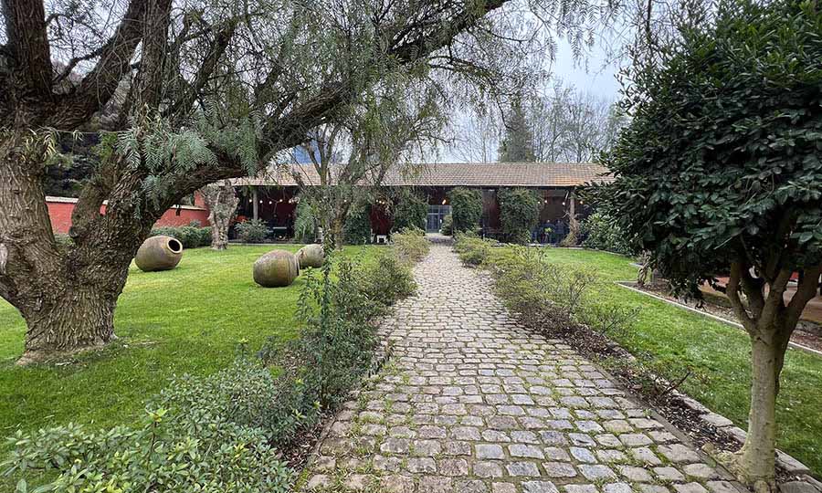 Viedo La Higuera de Via TerraNoble en San Clemente