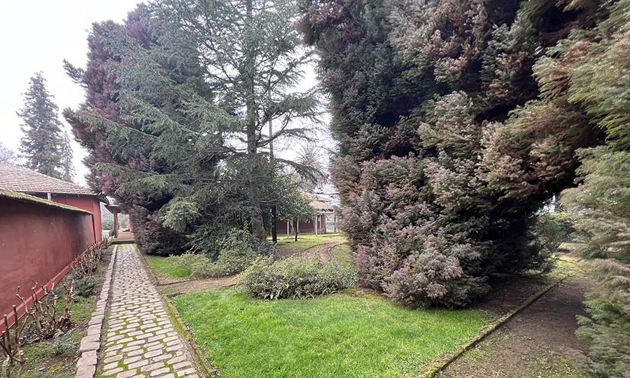 Viedo La Higuera de Via TerraNoble en San Clemente