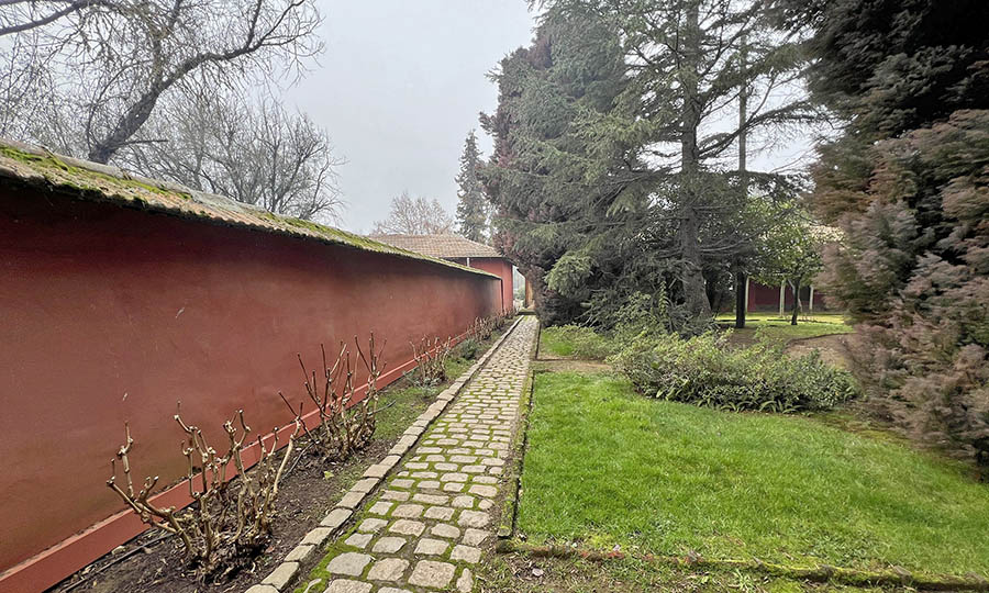 Viedo La Higuera de Via TerraNoble en San Clemente - Via TerraNoble - San Clemente