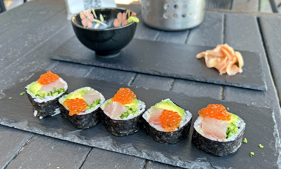 Elegante y talentoso Shiromi Ikura maki - Monos con Navaja