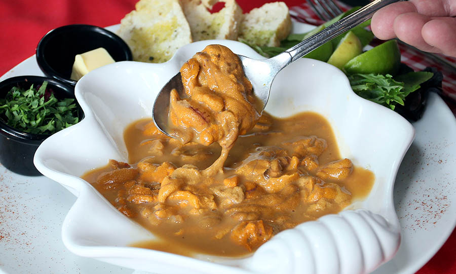 Erizos en Maniero - Maniero