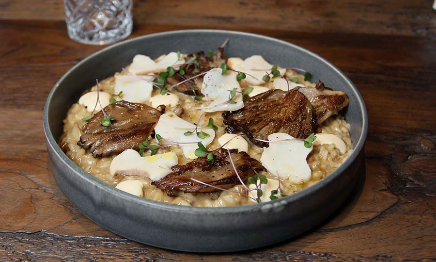 Risotto Parmigiano con Locos y Funghi