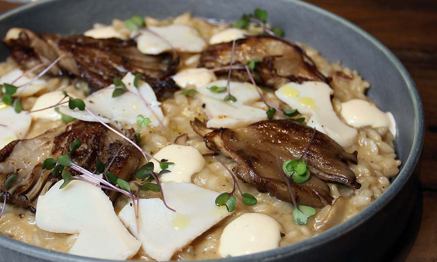 Risotto Parmigiano con Locos y Funghi - Brunapoli - La Reina