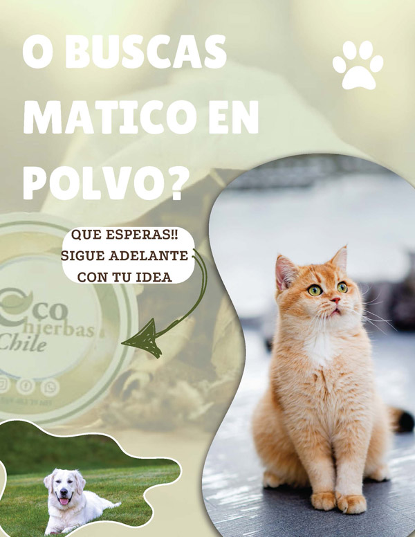  - Ecohierbas Chile
