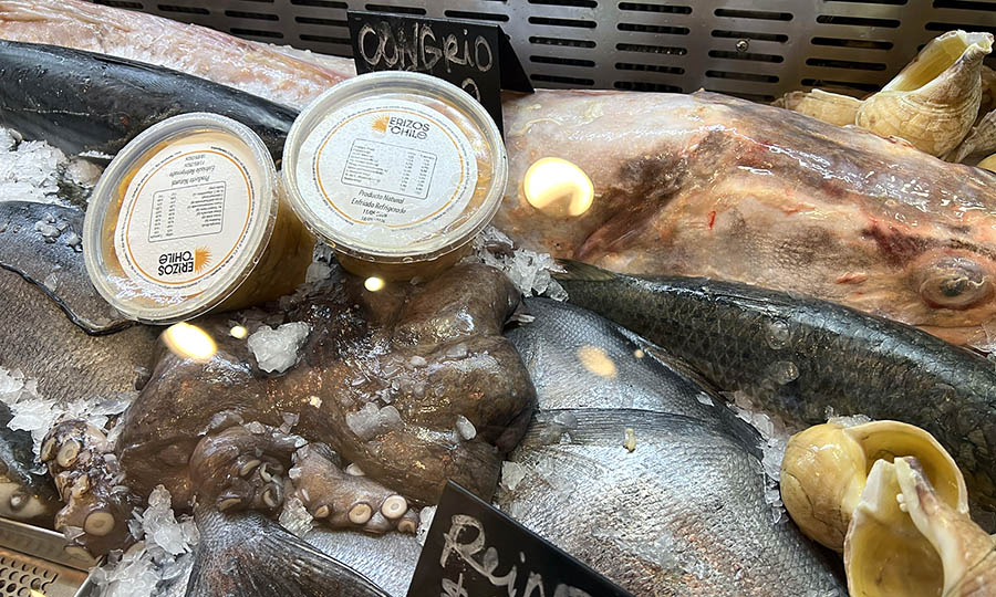 La pescader�a y emporio de mariscos de Caleta de Locos