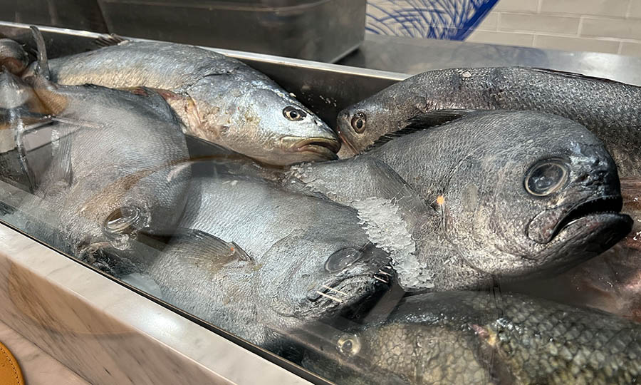 Detalles en Caleta de Locos del MUT