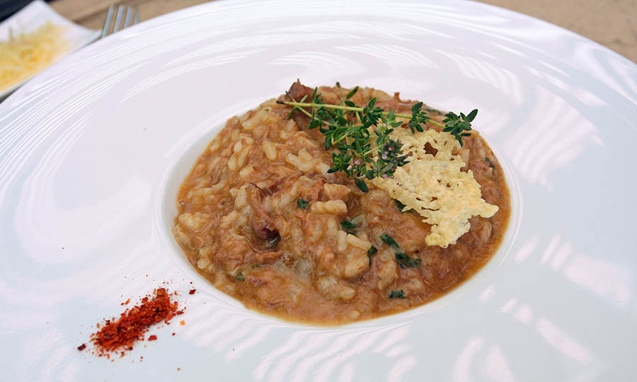 Risotto de callampas con costra de parmesano