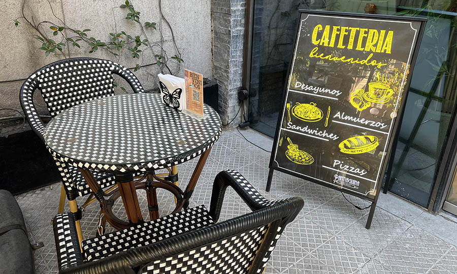 Detalles en Pantiaguina Providencia