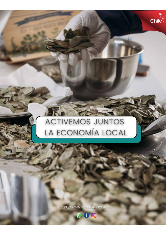  - Ecohierbas Chile