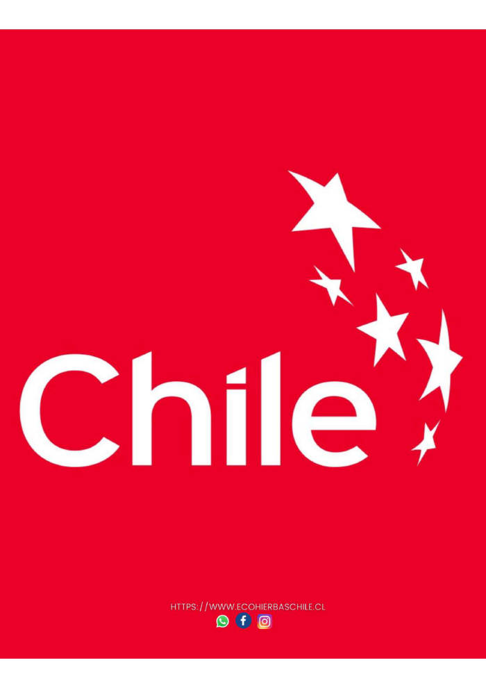  - Ecohierbas Chile