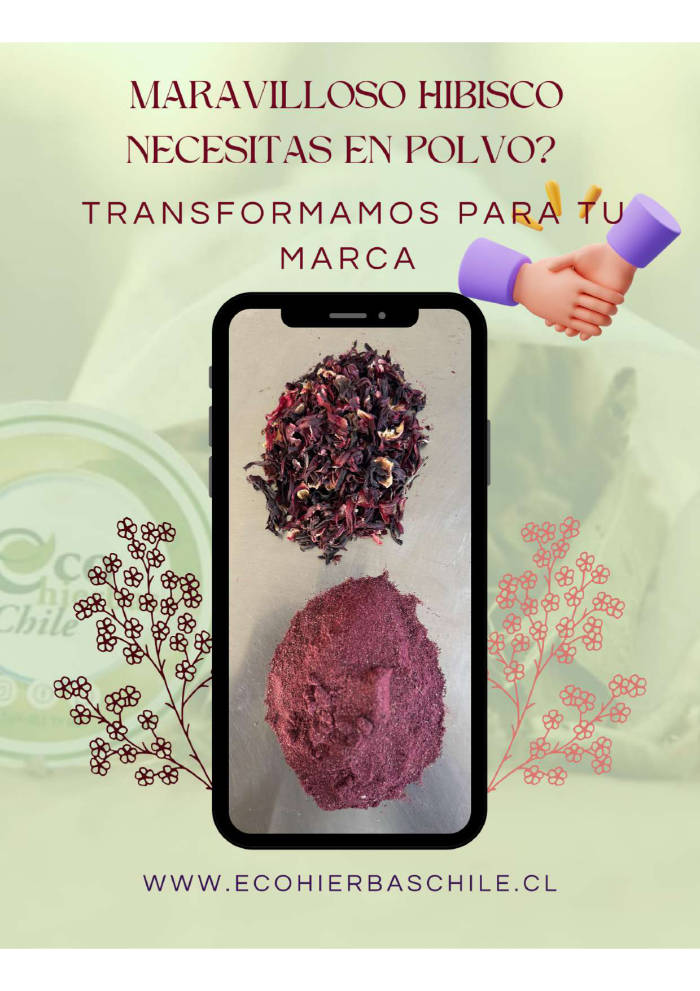  - Ecohierbas Chile
