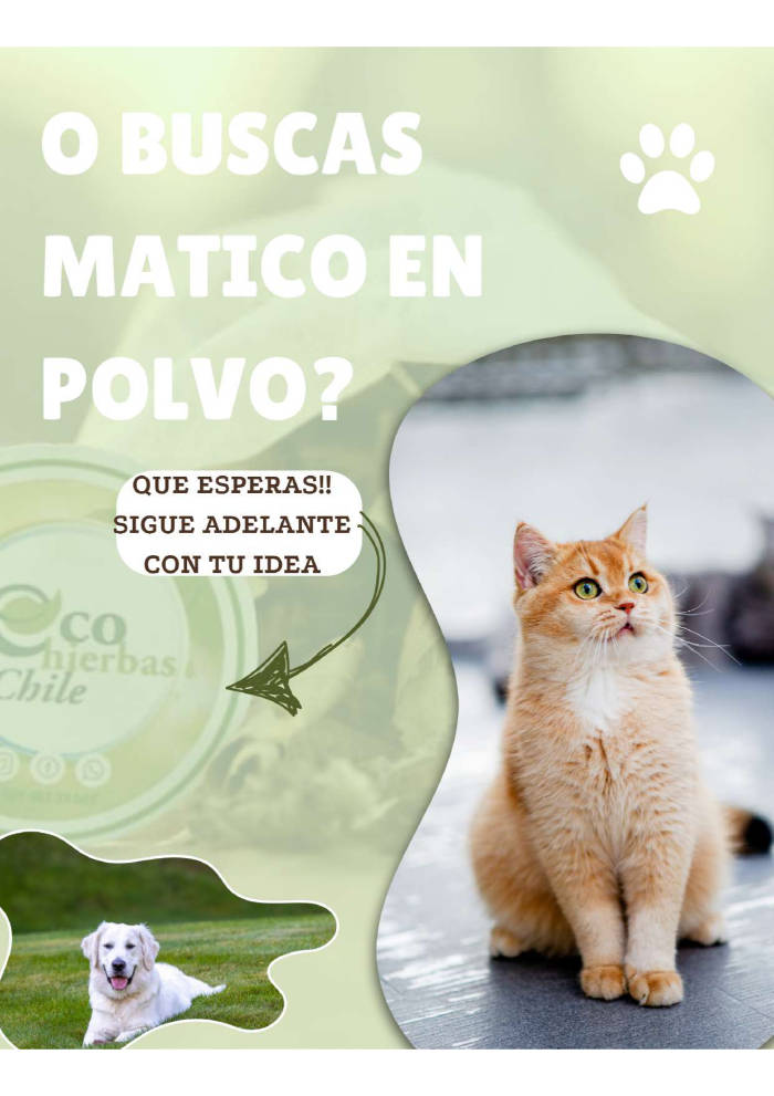  - Ecohierbas Chile