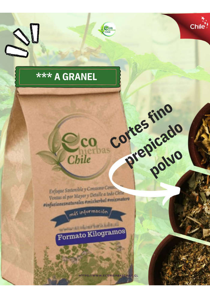  - Ecohierbas Chile