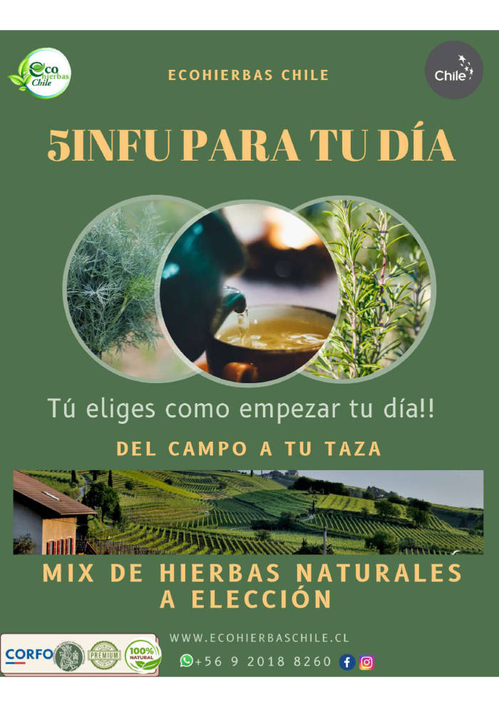  - Ecohierbas Chile