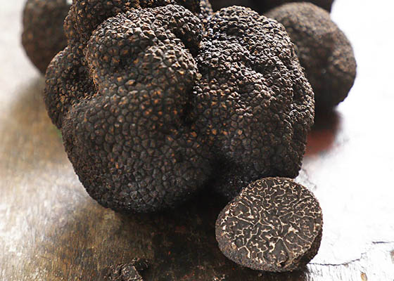 Trufas Araucana