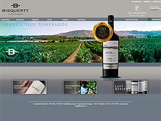 Tienda Undurraga / Bisquertt / Bouchon / Volcanes