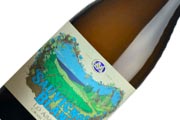 Nuevo vino Casa Marin Gran Reserva Sauvignon Blanc 2019