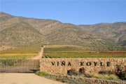  Vi�a Koyle celebra la primera d�cada de su vino �cono Auma