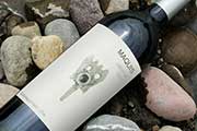 Cata en Casa: Maquis Gran Reserva Cabernet Franc 2017