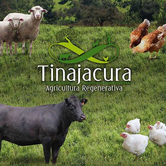 Agrcola Tinajacura