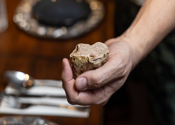 Pruebas con Trufa Blanca Fresca tra�da desde Italia por el restaurant Ocean Pacific's