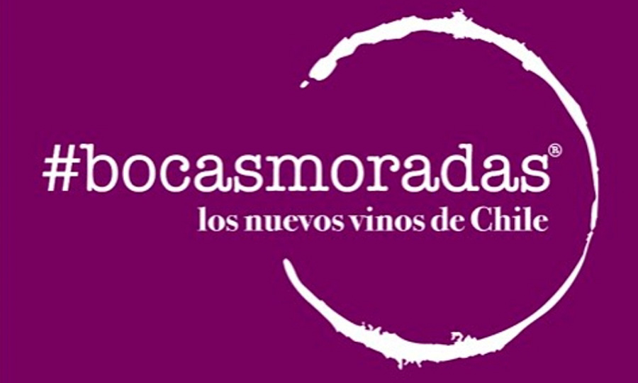 Bocas Moradas Vendimia en Santiago - Abril 2023