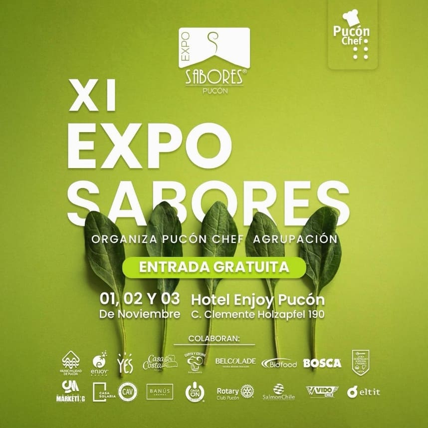 Festival Gastronmico Expo Sabores Pucn 2024