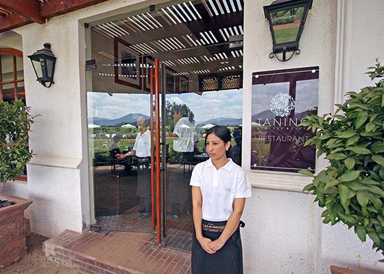 Legada al estaurante Tanino de Casas Del Bosque - Tanino de Casas Del Bosque